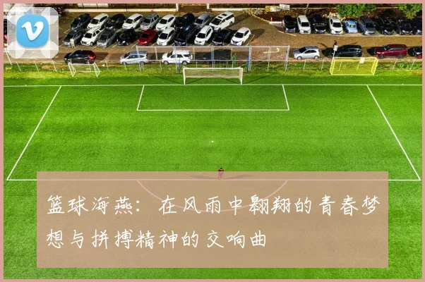 篮球海燕：在风雨中翱翔的青春梦想与拼搏精神的交响曲