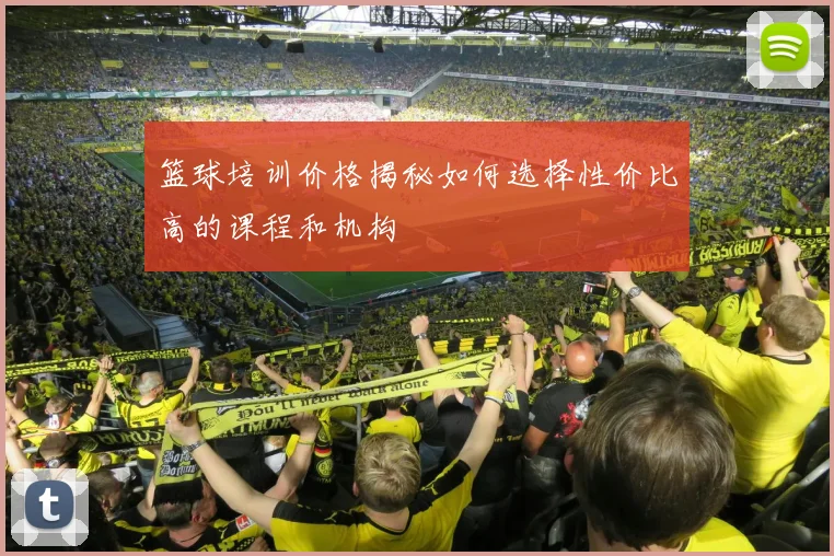 篮球培训价格揭秘如何选择性价比高的课程和机构