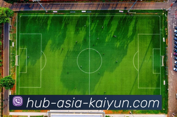 App Interface Preview